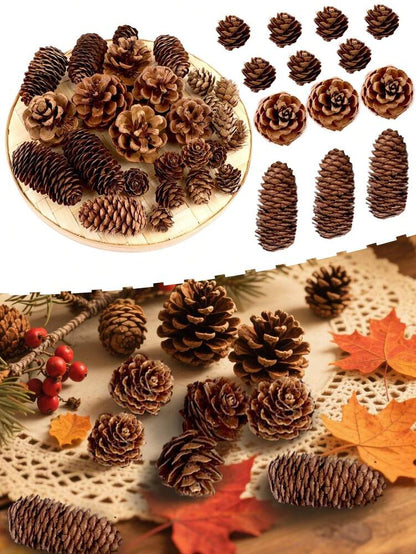 Mini Pinecone Set for Thanksgiving or Christmas (15pcs/5pcs), Natural Decorative Cones with Maple Leaves for Autumn, Harvest, or DIY Holiday Ornaments