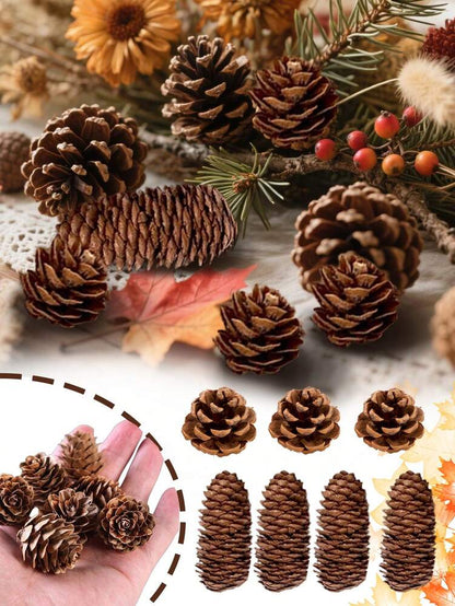 Mini Pinecone Set for Thanksgiving or Christmas (15pcs/5pcs), Natural Decorative Cones with Maple Leaves for Autumn, Harvest, or DIY Holiday Ornaments